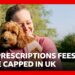 Vet prescription fees to be capped in overhaul to veterinarian sector costs in UK | BBC News