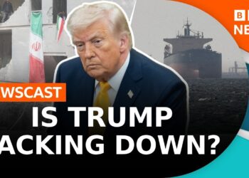 Why has US President Trump postponed his ultimatum on the Strait of Hormuz? | BBC News