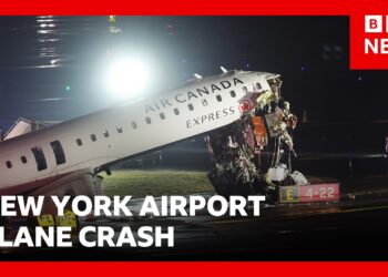 Two pilots killed after plane and ground vehicle collide at New York’s LaGuardia Airport | BBC News