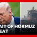 Trump says US will ‘obliterate’ Iran’s power plants if Strait of Hormuz not open | BBC News