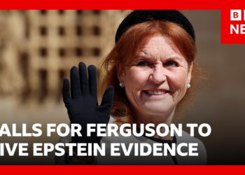 Pressure mounts for Sarah Ferguson to give evidence on Epstein | BBC News