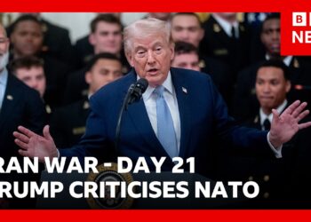 Trump calls Nato allies ‘cowards’ on day 21 of US-Israel war with Iran | BBC News