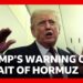 Trump warns Nato over securing the Strait of Hormuz | BBC News