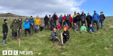 30,000 trees planted to create Isle of Man temperate rainforest