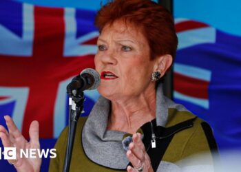A right-wing populist party made big poll gains in Australia - and it's shaking up politics