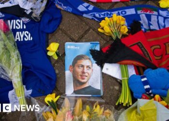 Cardiff City damages claim over Emiliano Sala death dismissed