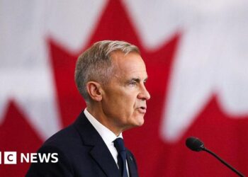 Carney says Air Canada's English-only message after LaGuardia crash 'lacks compassion'