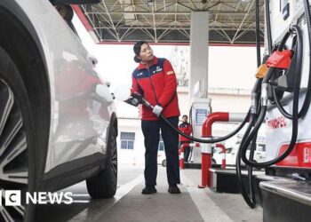 China eases planned fuel price hikes as Asia reels from energy crisis