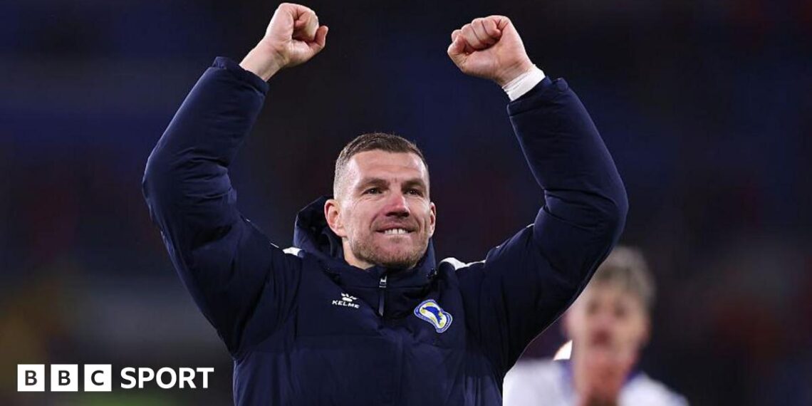 Edin Dzeko celebrates scoring against Wales