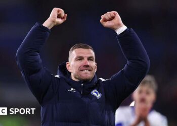 Edin Dzeko celebrates scoring against Wales