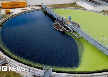 England sewage spills nearly halved in 2025 due mostly to drier weather