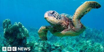 'God squad' waives animal protections to expand oil drilling