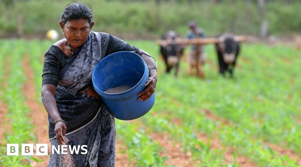 Iran war: India's fertiliser supply under strain after Hormuz blockade