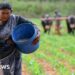 Iran war: India's fertiliser supply under strain after Hormuz blockade