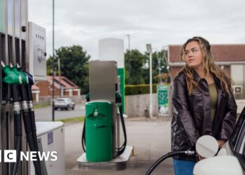 Ireland to cut excise duty on petrol and diesel