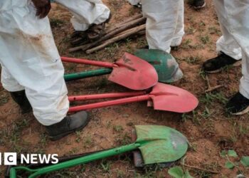 Kericho mass grave mystery: Dozens of bodies, mostly infants, exhumed in Kenya