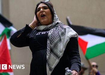 Man arrested over plot to firebomb pro-Palestinian activist's NY home