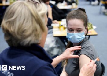 Meningitis outbreak passes peak, says health agency