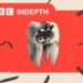 NHS dentistry is rotting. Will the plan to fix it work?