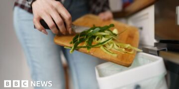 New bin rules begin in England but not all councils are ready