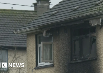 Offaly: Body found at house where two were killed last year