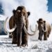 OpenAI closes Sora video-making app and cancels $1bn Disney deal