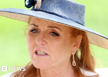 Sarah Ferguson’s ‘close Epstein ties’ scrutinised in US lawmaker’s letter