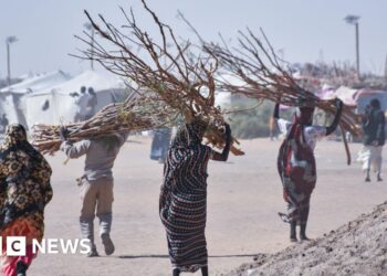Sexual violence part of 'everyday life' in parts of Sudan, charity says