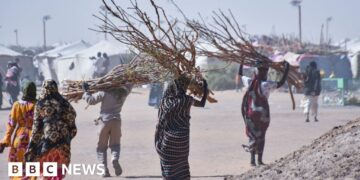 Sexual violence part of 'everyday life' in parts of Sudan, charity says