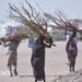 Sexual violence part of 'everyday life' in parts of Sudan, charity says