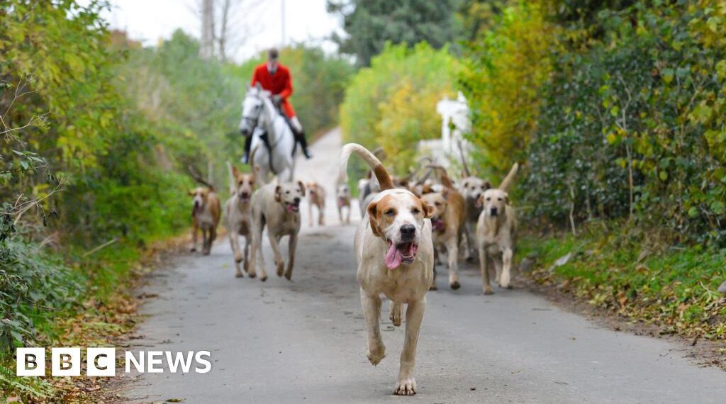 Trail hunt ban moves closer as consultation begins