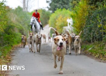 Trail hunt ban moves closer as consultation begins