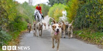 Trail hunt ban moves closer as consultation begins