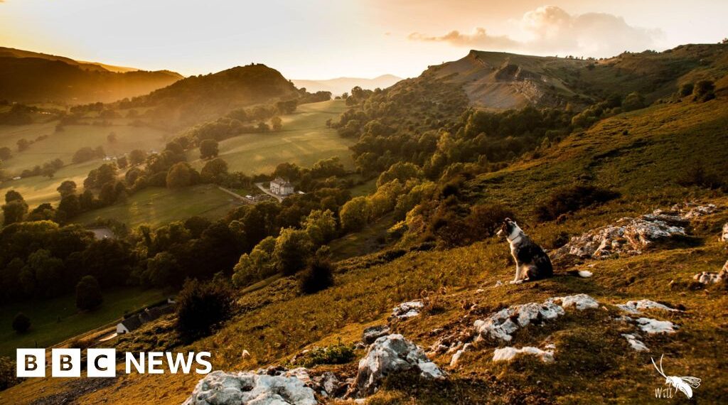 UK's newest national park - a huge opportunity or a waste of money?