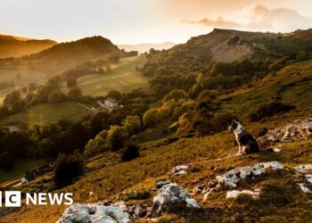 UK's newest national park - a huge opportunity or a waste of money?