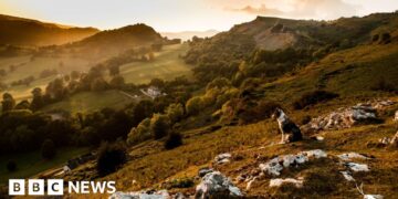 UK's newest national park - a huge opportunity or a waste of money?