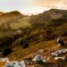 UK's newest national park - a huge opportunity or a waste of money?