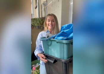 What are the new bin rules in England?