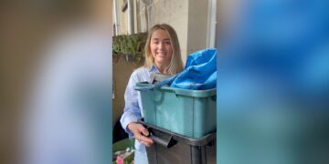 What are the new bin rules in England?