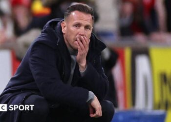 Craig Bellamy looks on as Wales lose to Bosnia-Herzegovina