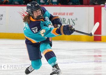 With US TV debut, women's pro ice hockey hopes to cash in big