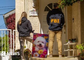 'It's bizarre': Californians grapple with revelation that suspected Trump gunman suspect was neighbour