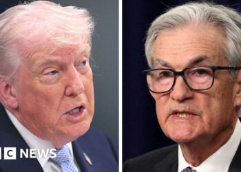'Numbskull, moron and too stupid': Trump and Powell's biggest clashes