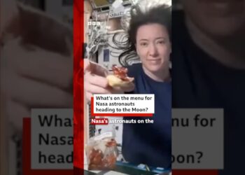 Nasa astronauts picked their own food for Artemis II mission. #BBCNews