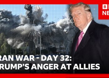 Trump says allies should ‘start learning how to fight for yourself’ over Iran | BBC News