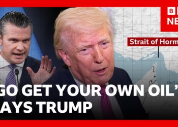 Trump tells other countries ‘go get your own oil’ from Strait of Hormuz | BBC News