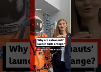Why are astronauts’ launch suits orange? #ArtemisII #BBCNews