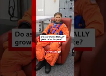 Do astronauts get taller being in space? #Astronauts #ArtemisII #BBCNews