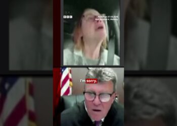 Woman called out for driving during virtual court appearance. #Michigan #BBCNews