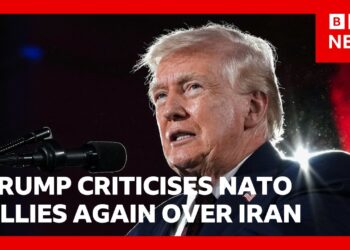 Donald Trump criticises Nato allies again over Iran | BBC News